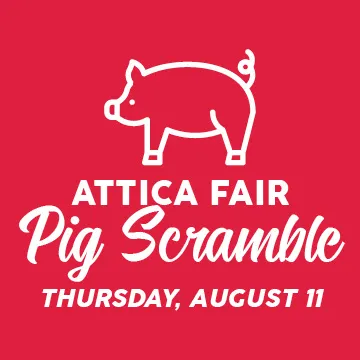Attica Fair: Adult Pig Scramble