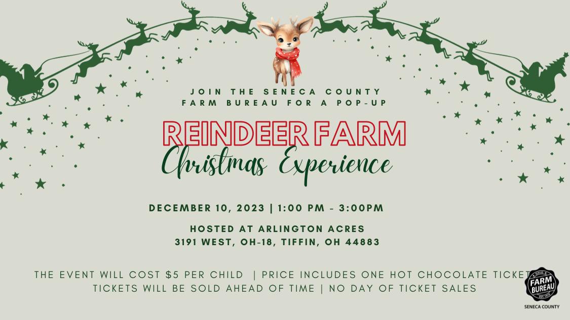 Reindeer Farm Christmas Experience