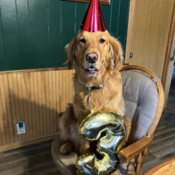 Entry #9 - Rookie